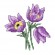 Cross stitch pattern for a phone - Charming pasque-flowers