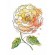 Cross stitch pattern for a phone - Magic begonia