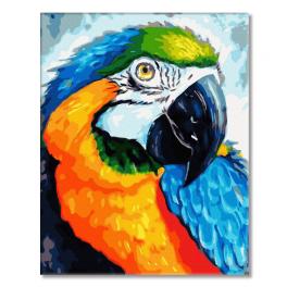 PC4050852 Malování podle čísel - Duhový papoušek