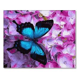 PC4050525 Malování podle čísel - Motýlí barvy