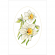 Cross stitch pattern for smartphone - Card with daffodils