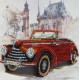 AM-054 Kit with beads - Skoda-1102