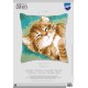 VPN-0157982 Cross stitch tapestry kit - Cushion - Cat