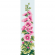 Cross stitch pattern for smartphone - Bookmark with mallow