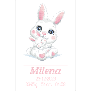 GC 10868 Cross stitch pattern on paper - Birth certificate with bunnies - Girl