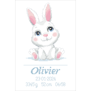 Z 10867 Cross stitch kit - Birth certificate with a bunny - Boy