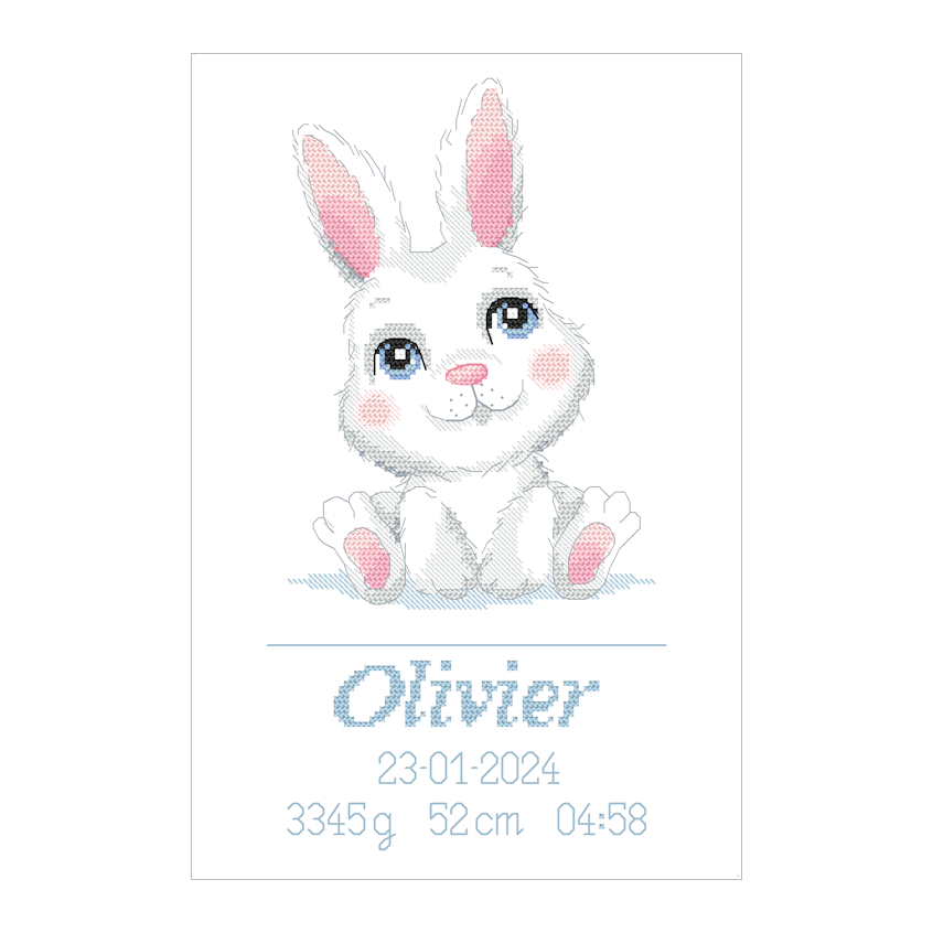 Cross stitch pattern for a phone - Birth certificate with a bunny - Boy