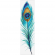 Cross stitch pattern for a phone - Bookmark with a peacock feather