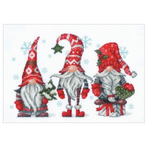 RIO 2171 Cross stitch kit with yarn - Gnomes