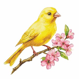Z 10961 Cross stitch kit - Canary