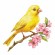 Cross stitch pattern for a phone - Canary