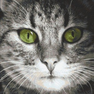 GC 8830 Cross stitch pattern on paper - Green-eyed cat
