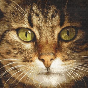 GC 8843 Cross stitch pattern on paper - Cat Lucky
