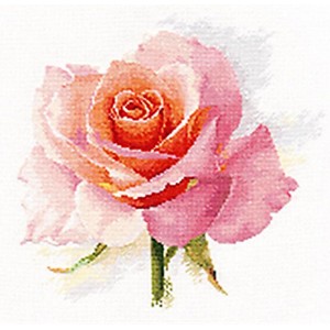 ALI 2-40 Cross stitch kit - Tanderness