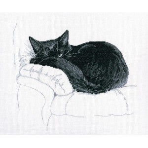 ZTM 668 Cross stitch kit - Black cat - He's watching you