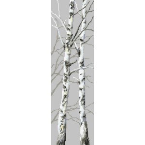 Z 8764 Cross stitch kit - Birches II