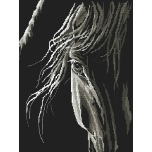 W 10246 Cross stitch pattern PDF - Horse's look
