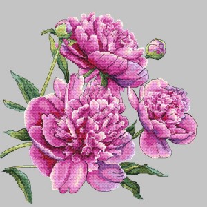 GC 10272 Cross stitch pattern - Beautiful peonies