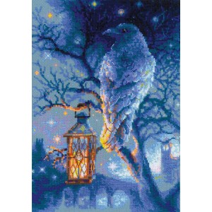 RIO 1876 Cross stitch kit with yarn - Wise raven