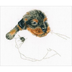 ZTM 818 Cross stitch kit - In palms - dachshund