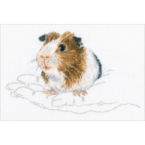ZTM 817 Cross stitch kit - In palms - guinea pig