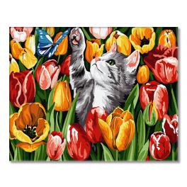 GX27243 Malování podle čísel - Kotě mezi tulipány