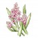 Cross stitch pattern for a phone - Pink hyacinths