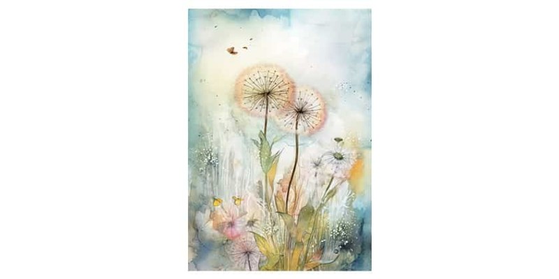 Posters, pictures, cerfificates
